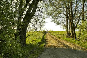 podlasie atrakcje