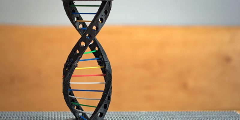 Podsumowanie książki "The Sports Gene"